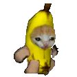 香蕉猫头像