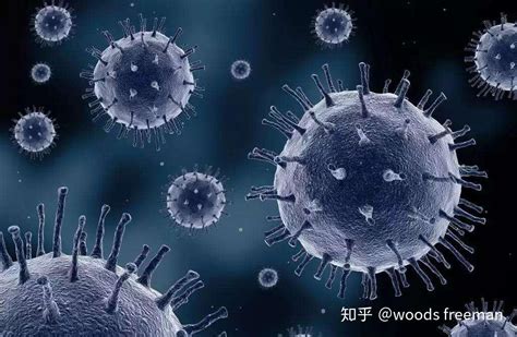 麻疹病毒属有哪些病毒